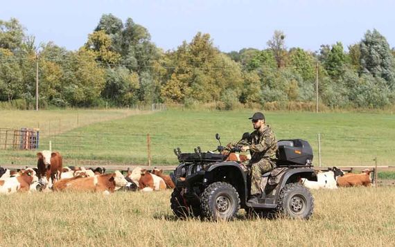 Квадроцикл BALTMOTORS Striker 700 EFI (ПСМ)