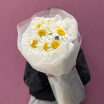 Букет "Ромашка одноголовая" #77