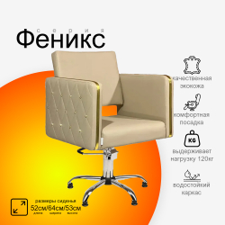 Парикмахерское кресло Феникс