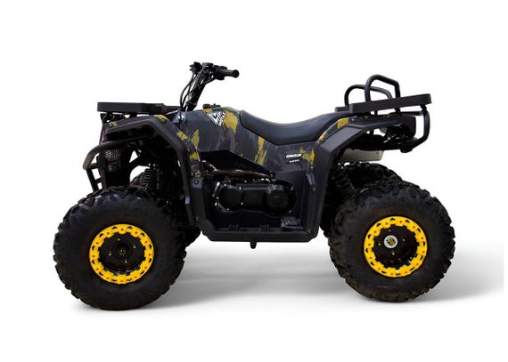 Квадроцикл MOTAX Grizlik W200