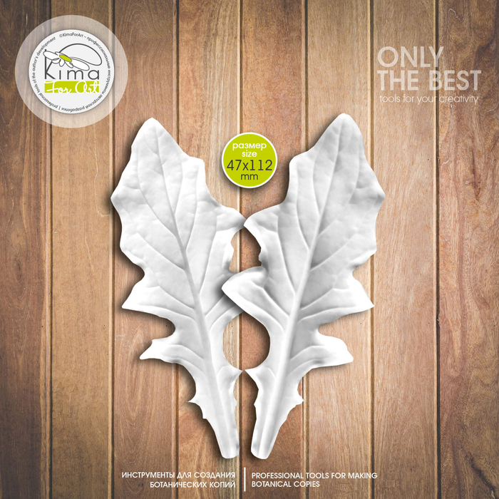 Гербера лист большой