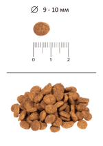 Сухой корм для кошек для взрослых кошек Индейка Blitz Sensitive Turkey Adult Cat All Breeds 10кг