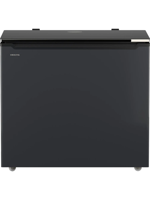 Морозильная камера Hiberg PF 25 NFXd