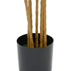 Бамбук высота 210 см, 7 стволов