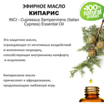 Эфирное масло кипариса / Cupressus Sempervirens (Italian Cypress) Essential Oil