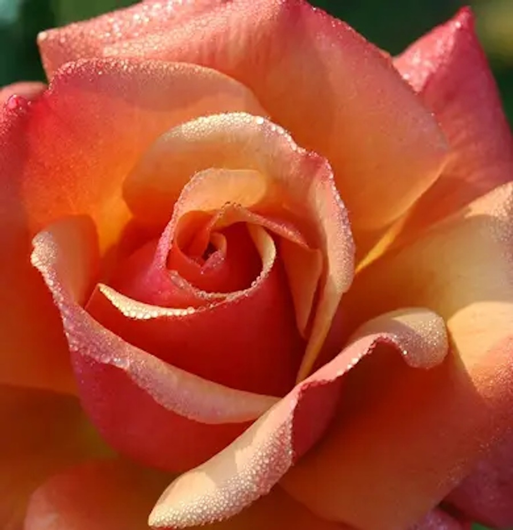 Dr. Vranjes Giardino di Boboli спрей ароматизатор воздуха (аромат сады Боболи)