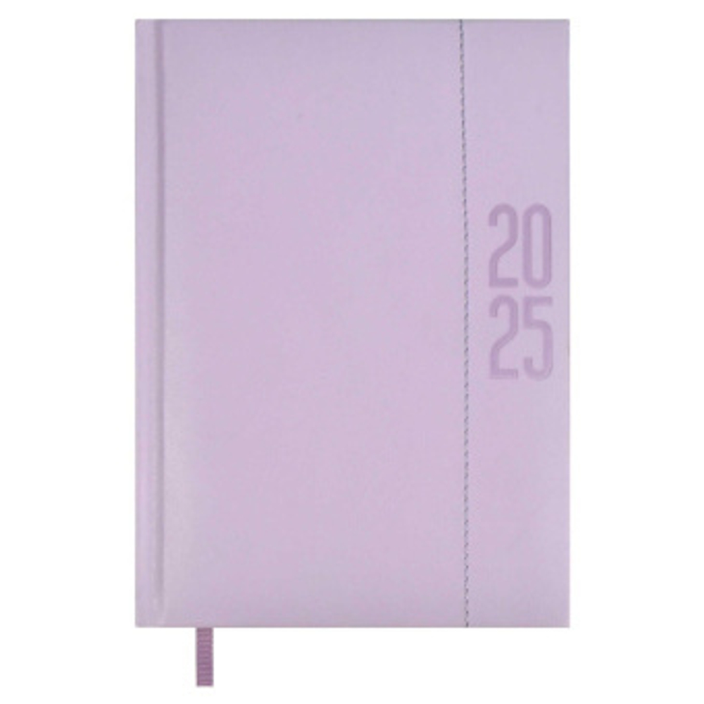 Ежедневник датированный 2025 ESCALADA, #ИЛОН МАСК, А6+, 176 л.