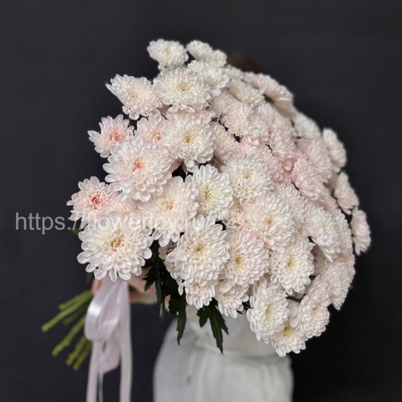 Букет из нежно-розовой хризантемы