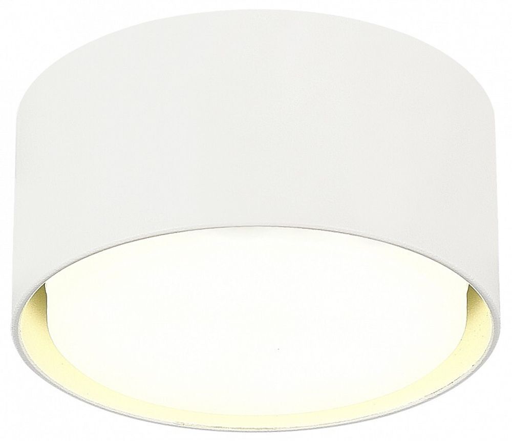 Накладной светильник ST-Luce ST164 ST164.502.01