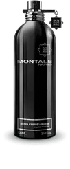 Montale Aoud Cuir d’Arabie