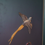 Ширма с резными композициями