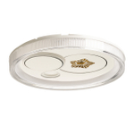 Потолочный светодиодный светильник De City Норден 660016601