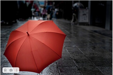 Дождь станет любимой погодой, если в руках зонт EuroSCHIRM!