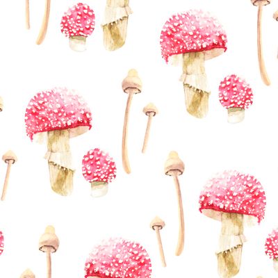 Узор с поганками и мухоморами изолированный на белом фоне