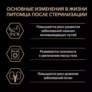 Пауч для кошек Pro Plan Sterilised для стерилизованных кошек желе с индейкой