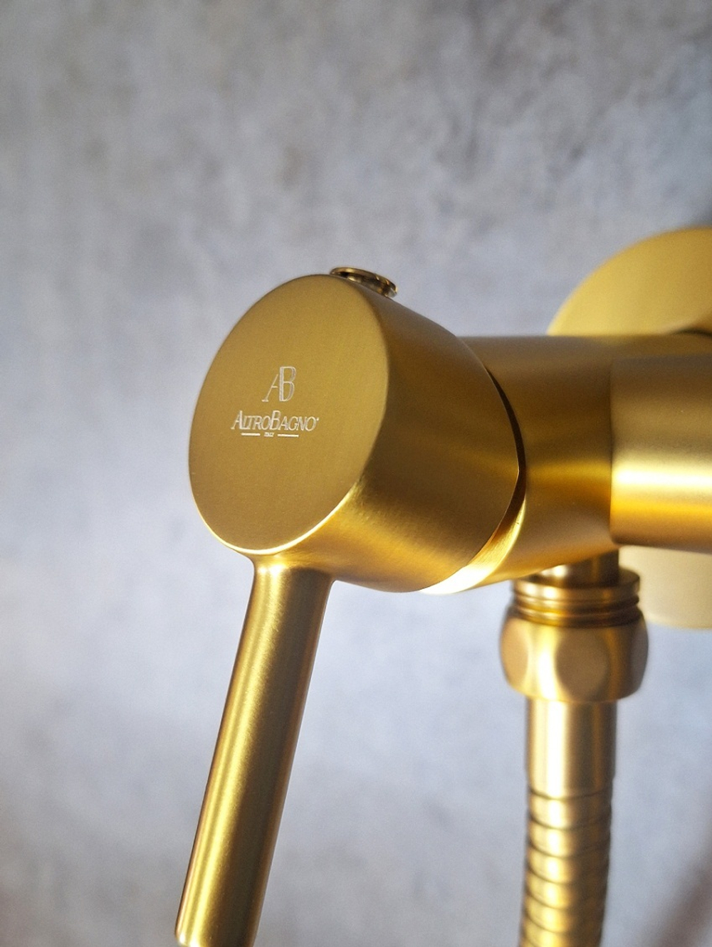 Встраиваемый гигиенический душ AltroBagno Modern 060117 BG