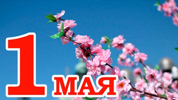График работы в праздничные дни с 1 по 5 мая 2025 года
