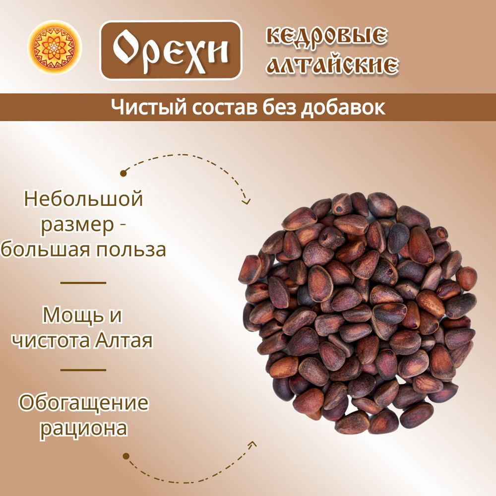 Орех кедровый Алтай.
