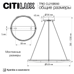 Подвесная светодиодная люстра Citilux TRIO CL215B050
