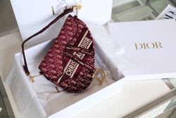 Christian Dior Saddle Bag 25 cm