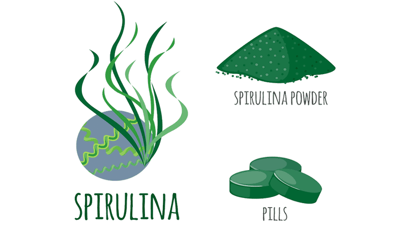 Спирулина  на главной