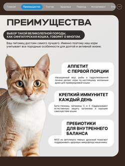 Корм сухой для взрослых кошек породы Сингапурская кошка, с лососем, 400 гр, QUATTRO