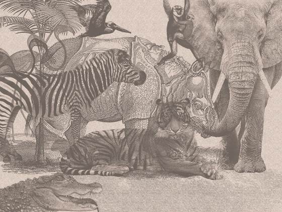 Коллекция ZENITH