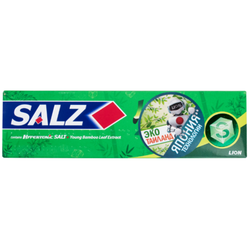 Lion Зубная паста с коэнзимом абсолютная защита - Salz original all protection, 90г