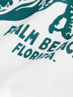 Футболка для мальчика Next AG3-606, Белый