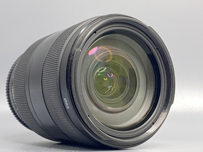 Sony DT 16-105mm SAL16105