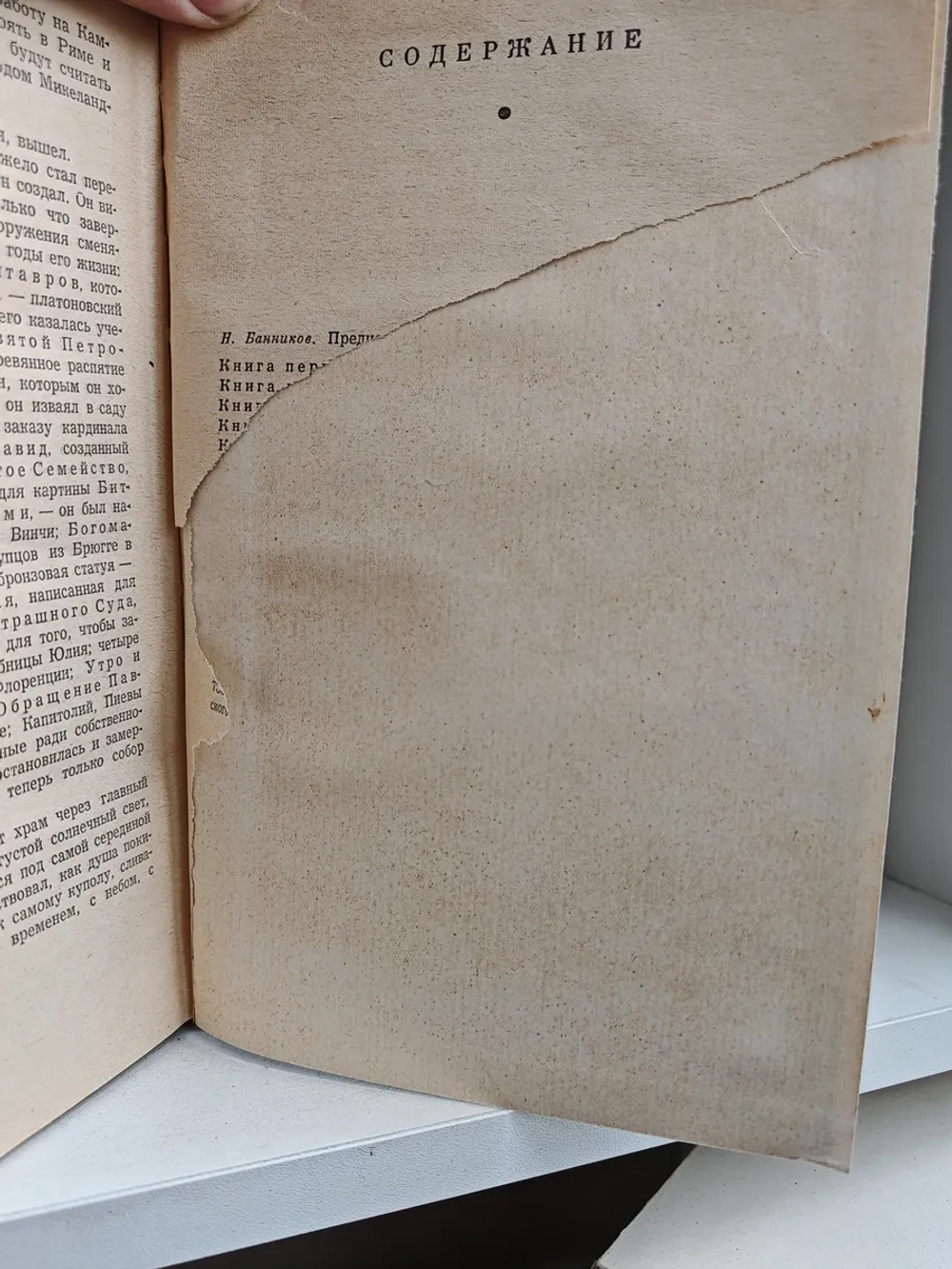 Муки и радости (роман о Микеланджело) (Дефект)