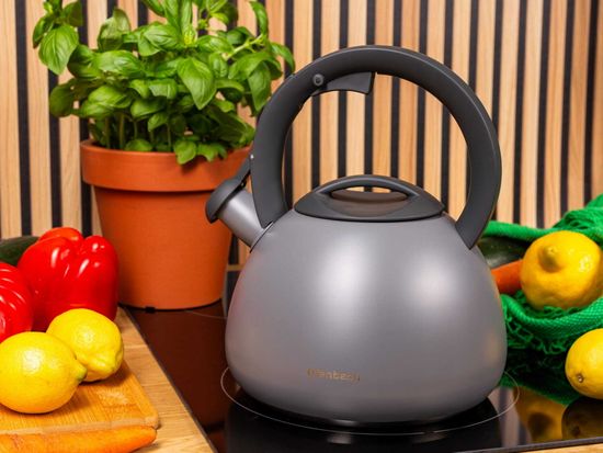 Чайник 2,7 л. из нержавеющей стали со свистком Ofenbach NB 100321