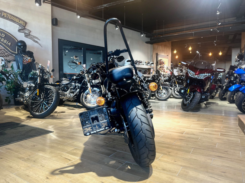 Harley-Davidson Sportster 1200, 2018