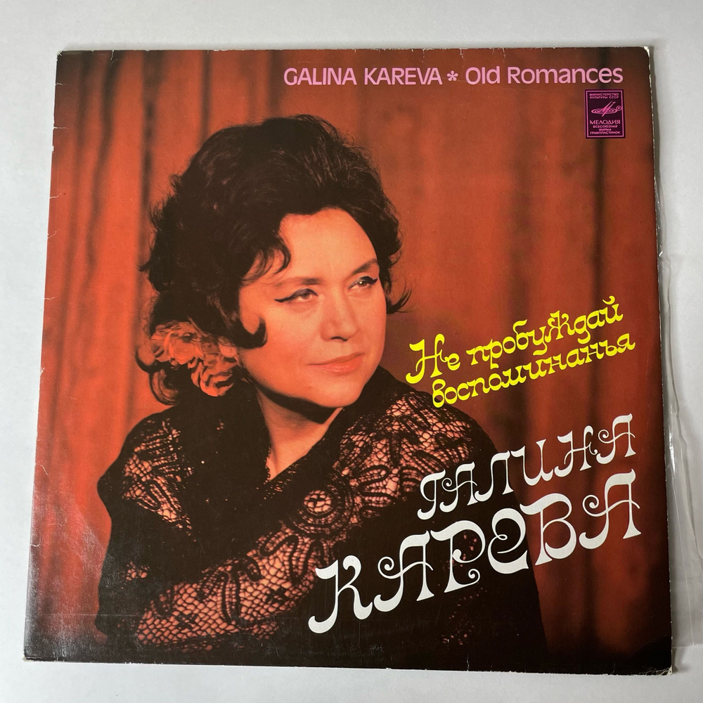 Винтажная виниловая пластинка LP Галина Карева Не Пробуждай Воспоминанья (СССР 1980)