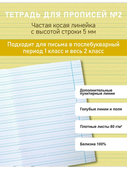 Набор тетрадей для прописей №2, 20 шт