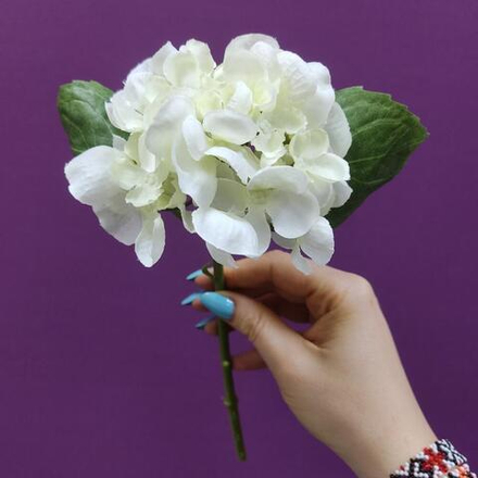Гортензия белая, искусственная