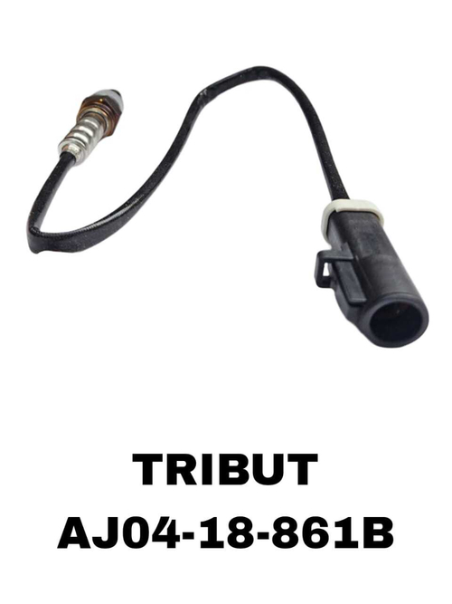 ЛЯМБДОЗОНТ TRIBUT