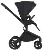 Детская коляска Anex Flo x Avionaut Cosmo 3 в 1 без адаптеров Lungo/ss-06 Black