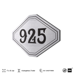 Номерок на дверь квартиры 925, для кабинета, офиса, шильдик 9 х 7 см, серебристый, Айдентика Технолоджи