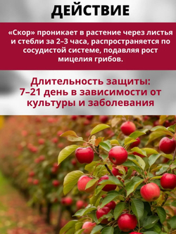 Скор -системный фунгицид для защиты плодовых деревьев , 1 мл