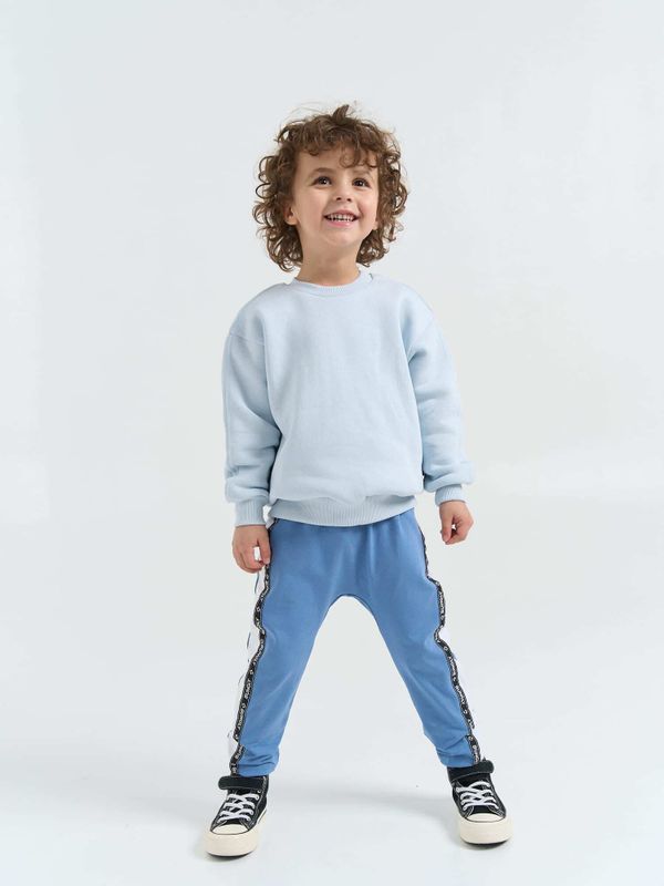 Брюки со спущенным шагом и лампасами 