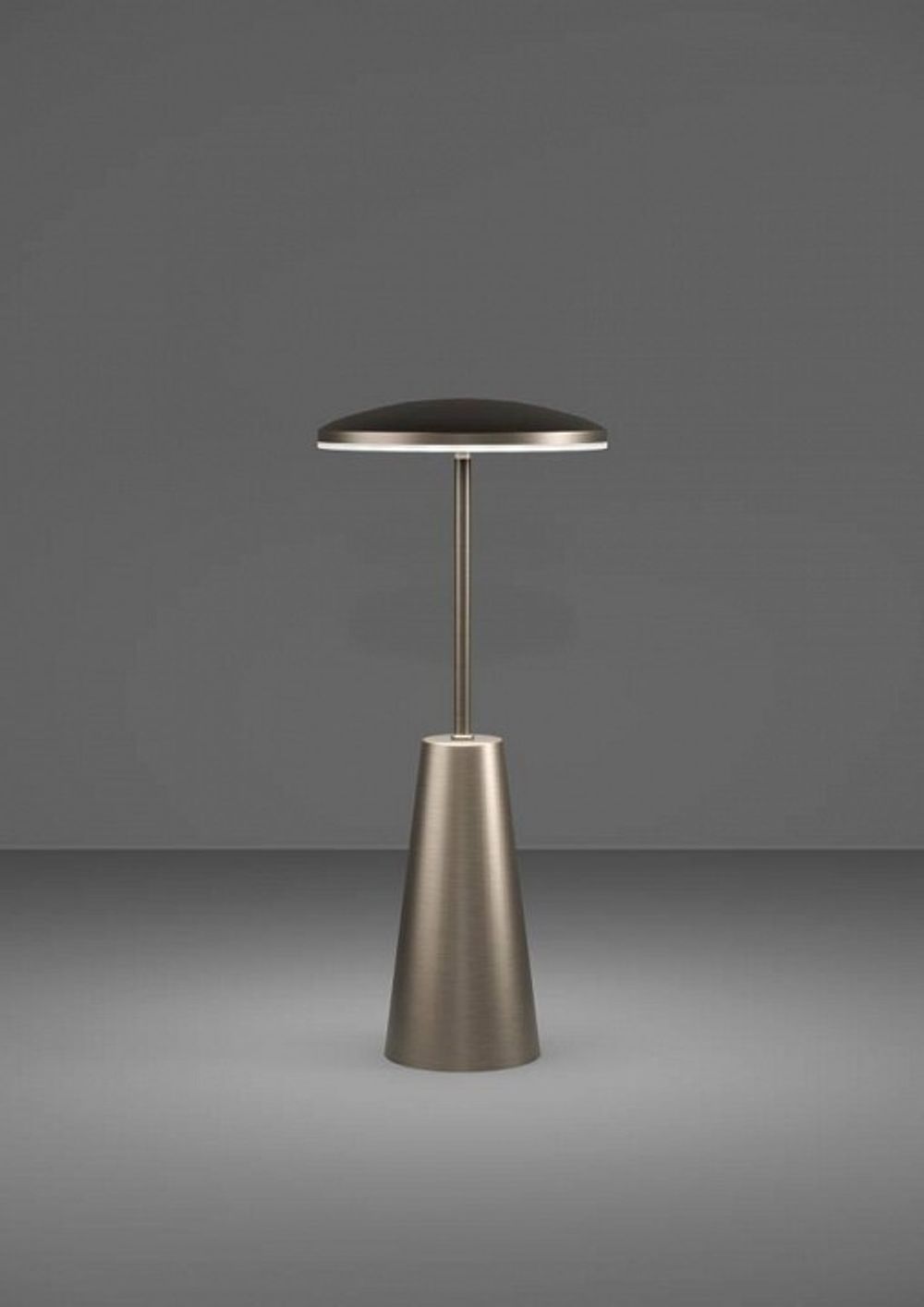 Настольная лампа декоративная Eglo PICCOLA 900924