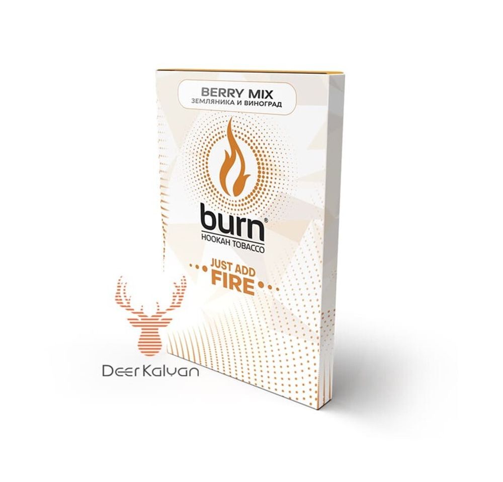 Burn &quot;Berry Mix&quot; (Ягодный Микс) 100 гр.