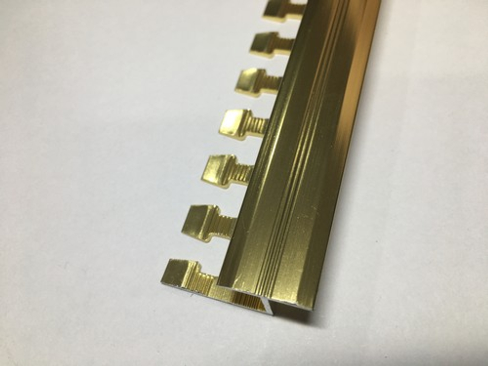 ATZг 10мм "DO-4" 2,7м Золото глянец Z-об. 16мм гибкий анод. алюм.