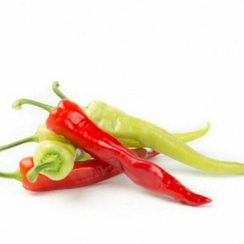 ЯНКА F1 семена перца острого (Rijk Zwaan | Alexagro)