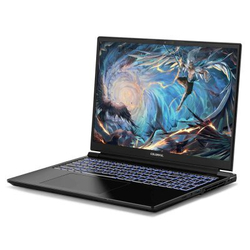 Ноутбук Colorful EVOL X16 Pro 23 A10205400059-wpro