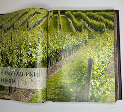 LAROUSSE ( Ларусс) энциклопедия Вино, Оливье Пуссье, М., Изд. Хлеб. Соль, 2021 г. Подарочное издание