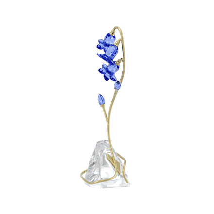 FLORERE:BLUE BELLFLOWER