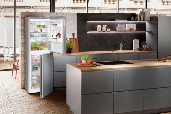 Холодильник Liebherr CNel 4213