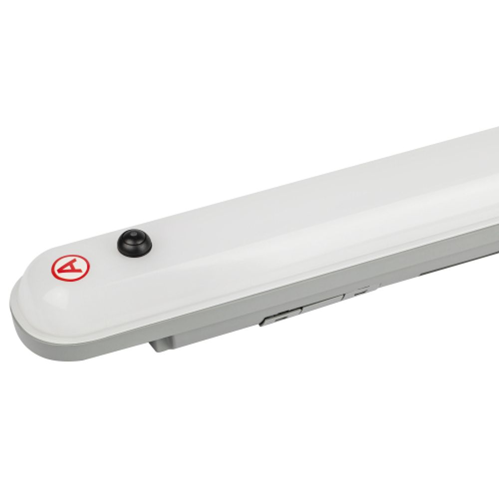 Аварийный линейный светодиодный светильник ЭРА SPP-201-0-40K-E36 36Вт 4000K 3780Лм IP65 1200мм с бап 1 час матовый